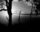 Picture for song 'Do Not Go Gentle Into that Good Night- poem & song' by artist 'Symphonic Band Performances'