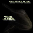 Picture for song 'Dream Labyrinth' by artist 'Syntopia Music'