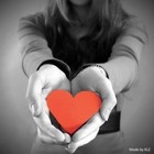 Picture for song 'SURRENDER MY HEART' by artist 'tamsnumber4'
