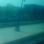 Picture for song 'Roots' by artist 'Tandy Rueson'