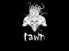 Picture for song 'Come into the Hood' by artist 'TAWN'