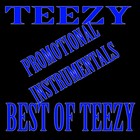 Picture for song 'TEEZY BEAT 02 609937' by artist 'TEEZY PRODUCTIONS LLC'