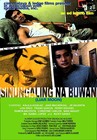 Picture for song ''Sinungaling na Buwan' Theme' by artist 'TeresaBarrozo'
