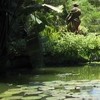 Picture for song 'The Pond At woodburn Hill' by artist 'The Bright Side Of Life'