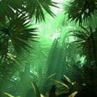 Picture for song 'Lions' by artist 'The Conflux'