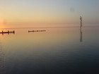 Picture for song 'to the sea go i' by artist 'The crushing blow'