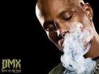 Picture for song 'Call for Help feat DMX & C.Dot' by artist 'The Dawn Records'