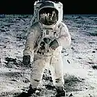 Picture for song 'Last man on the moon' by artist 'The Electric Cow Bell Project'