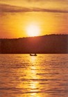 Picture for song 'Summer Love *RMX*' by artist 'The Emsee'