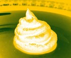 Picture for song 'Poop Groove' by artist 'The Global Warming Extravaganza'