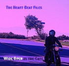 Picture for song 'Mystery' by artist 'The Heart Beat Files'