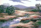 Picture for song 'Falling Tears Meadow (Instrumental)' by artist 'The Jay Dyall Project'
