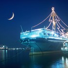 Picture for song 'December Lights' by artist 'The Markdanyells'