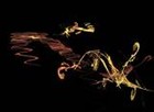 Picture for song 'w/experimental feelings/the chaos theory' by artist 'the mass of the silence (US)'
