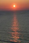 Picture for song 'w/ lil dreamland/breath of water' by artist 'the mass of the silence (US)'