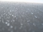 Picture for song 'w/sirk&imi.playthings in the storm' by artist 'the mass of the silence (US)'