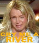 Picture for song 'Cry me a river extended' by artist 'The Mystery Project'