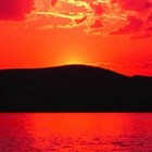 Picture for song 'Latin Virgo' by artist 'the newyork sound'