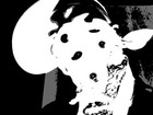 Picture for song 'BIB 23' by artist 'The Offical Boy'z In Black Productions'