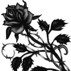 Picture for song 'Bella' by artist 'The Prestigious Rapper Dave'