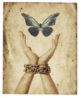 Picture for song 'Let Me Rove Free' by artist 'The Vault - Selections from Our Scatalogue'