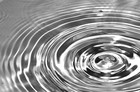 Picture for song 'Ripple' by artist 'The Vault - Selections from Our Scatalogue'