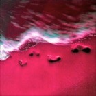 Picture for song 'The Yah'shua Project V: Tracks In The Sand' by artist 'The Well is Deep'