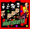 Picture for song 'Bright Lights, Fresh Eyes' by artist 'The Whathaveya'