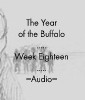 Picture for song 'Week Eighteen: HiddenTearsDeafEarsOustedPeers' by artist 'The Year of the Buffalo (Volume II)'