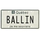 Picture for song 'I'M A BIG BWOYYY' by artist 'The Youth'