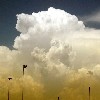 Picture for song 'Summer Rain' by artist 'Thin White Dude'