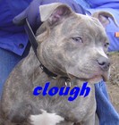 Picture for song 'RiddleKid Smiley MistaTdot' by artist 'ThuggishFam'