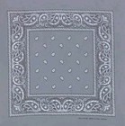 Picture for song '8 MAN SPRAY OUT' by artist 'Thuggish-Soldierz(NottZ)'