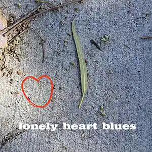 Picture for song 'lonely heart blues (fast tracked)' by artist 'tichphillips'
