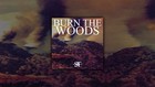 Picture for song 'Tike-Burn The Woods' by artist 'Tike Buyak'