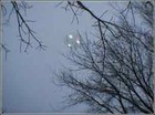 Picture for song 'Concerning a UFO Sighting (Sufjan Stevens cover)' by artist 'Time To Talk'