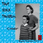 Picture for song 'Crybabaydemomp3' by artist 'Tiny Black Tantrum'