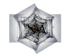Picture for song 'Ball To We Fall' by artist 'T-Nice(Too Nice)'