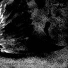 Picture for song 'Voai' by artist 'Tomb Of'