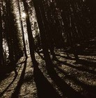 Picture for song 'Shadowville (Dark Woods rmx)' by artist 'Tracing Shadows'