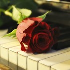 Picture for song 'Remember *Romantic*' by artist 'TreyVMoore'