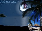 Picture for song 'Tribal WI Savannah' by artist 'Tribal White Island'