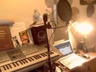 Picture for song 'GAME OVER- By Emman- Trim Cobra' by artist 'Trim Cobra'