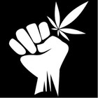 Picture for song 'Blown_A_Blunt' by artist 'Triple Threat(FuzzThaPrince)'