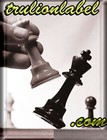 Picture for song 'CheckMate-Trulion Label' by artist 'TrulionLabel'