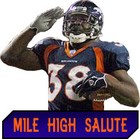 Picture for song 'Mile High Noise' by artist 'truth303'