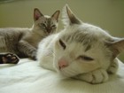 Picture for song 'Loving You For Always' by artist 'Twinkie Smokie'