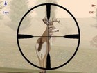 Picture for song 'Deer Hunter (Grimy JMT Type Beat)' by artist 'UGHH Beats'
