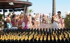 Picture for song 'Champaign Everywhere' by artist 'UNTAMED MUSIC PRODUCTIONS'