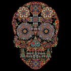 Picture for song 'Dont Lie (TRAP)' by artist 'UnusualBeatz'